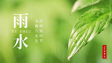 原创二十四雨水节气绿叶水珠视频片头AE模板视频的预览图