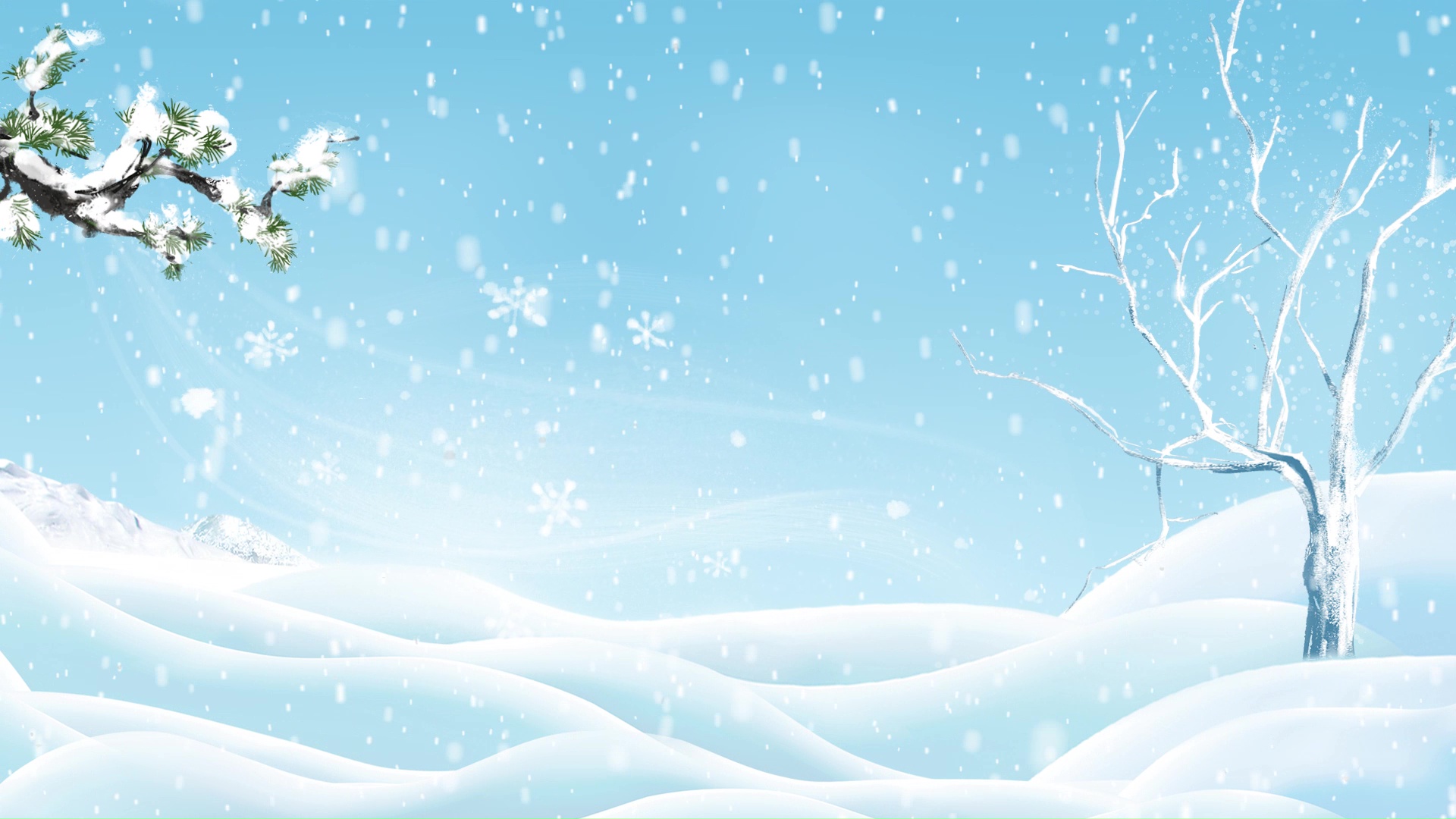 蓝色冬天立冬雪地松柏清新下雪雪花视频背景视频的预览图