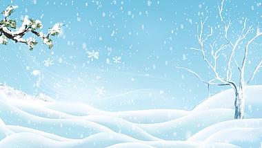 蓝色冬天立冬雪地松柏清新下雪雪花视频背景视频的预览图