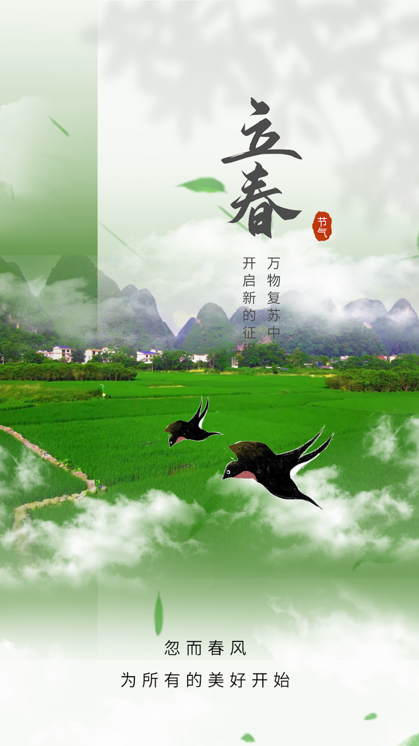 竖屏原创立春节气田野燕子绿色简约视频ae模版视频的预览图