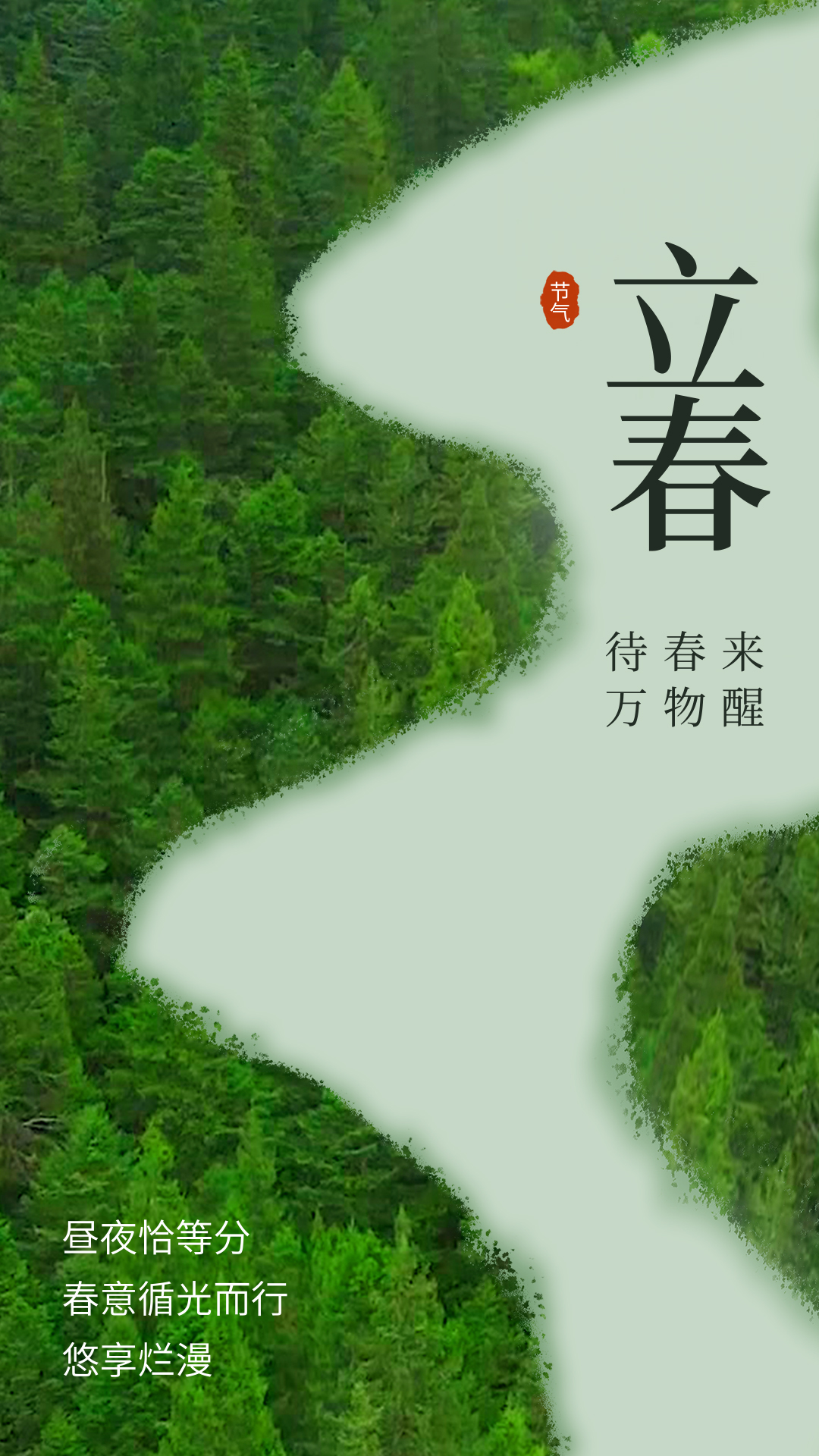 竖屏原创二十四节气立春节气树林鸟绿色简约动态节日海报视频片头视频的预览图