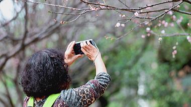 4k实拍春游园林女性旅行拍摄花朵动作视频的预览图