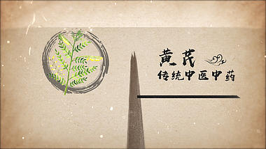 大气水墨笔刷穿梭中国风中医药材文化宣传视频ae模板视频的预览图