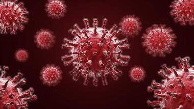 原创C4D红色细胞病毒场景背景视频视频的预览图