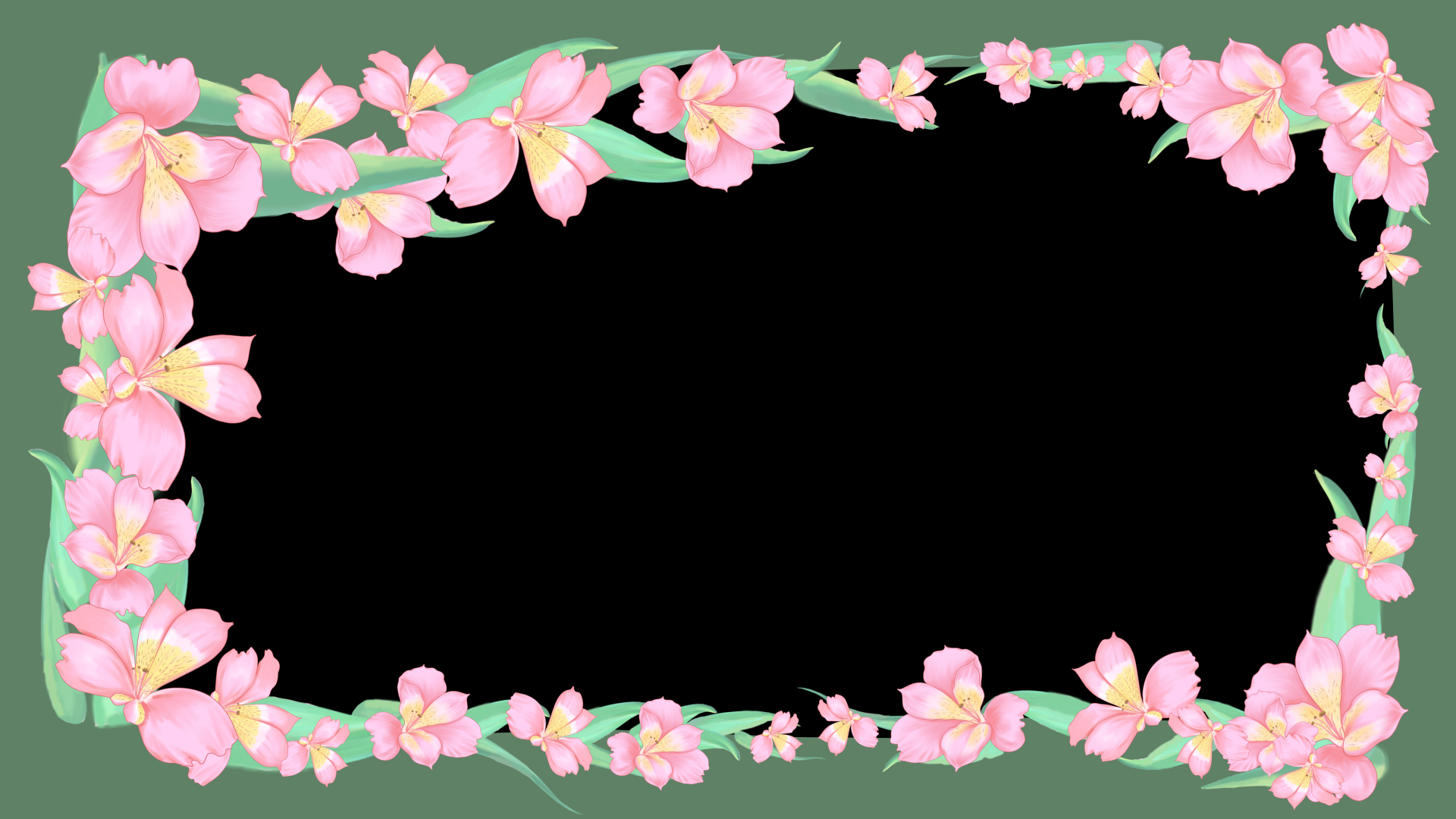春天春季粉色花朵植物视频边框视频的预览图