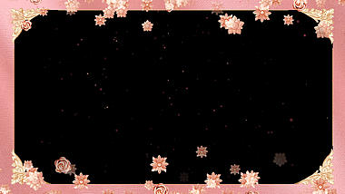 浪漫玫瑰金花朵女神节边框视频ae模板视频的预览图