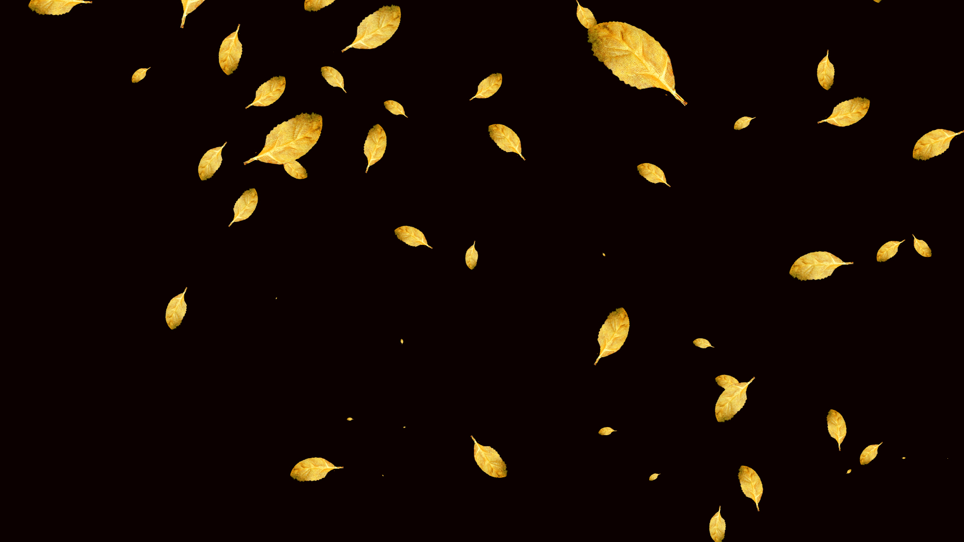 免扣带通道金色叶子视频ae模板视频的预览图