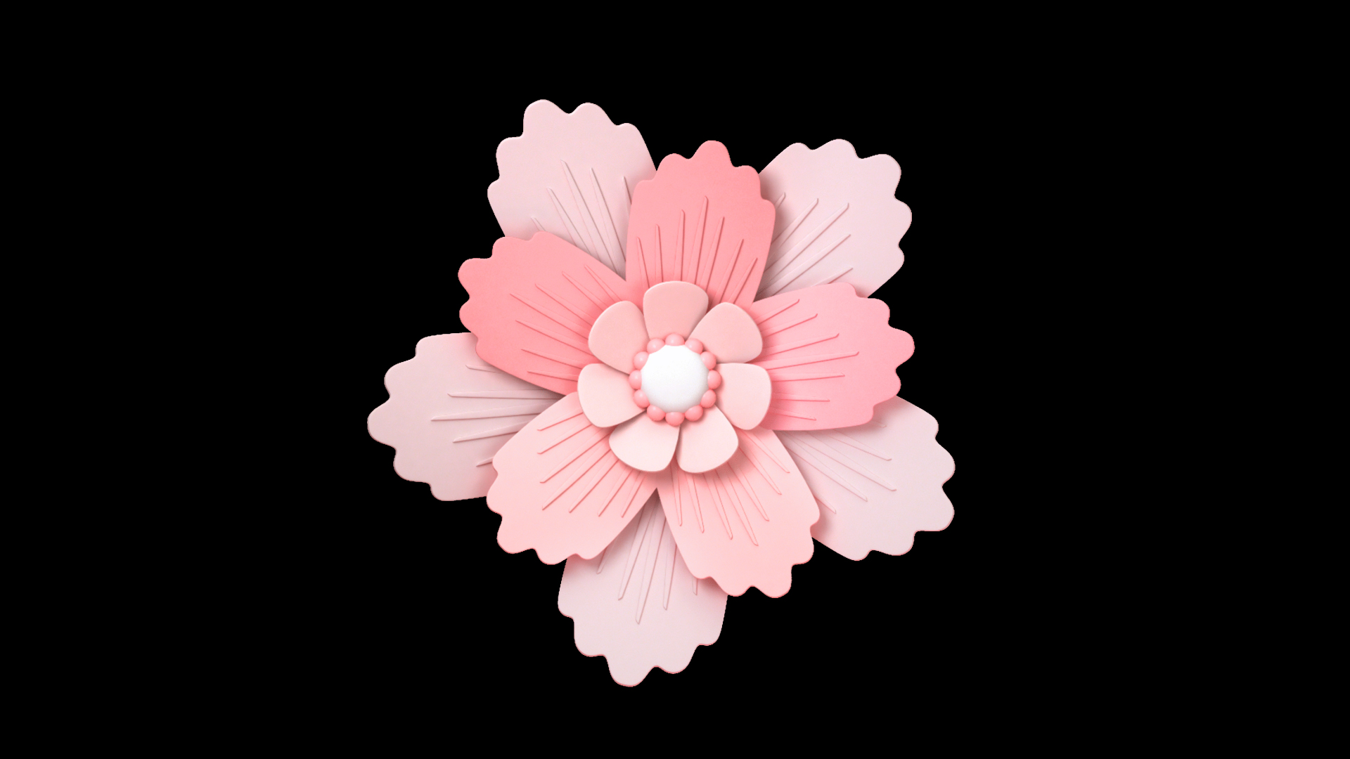 C4D立体3D春天粉色花朵开放粉色视频的预览图