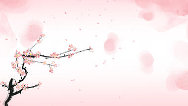 原创简约国画花鸟粉色中国风视频背景视频的预览图