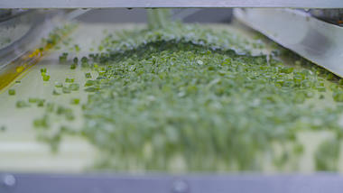 4K实拍食品生产线冷冻香葱蔬菜传送带视频的预览图