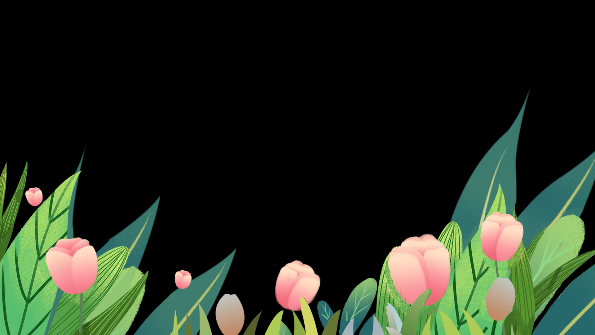 鲜花花朵绿叶植物边框底边装饰叶子视频的预览图
