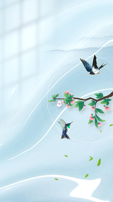 雨水小鸟树枝落叶春季二十四节气中国风竖版视频背景视频的预览图