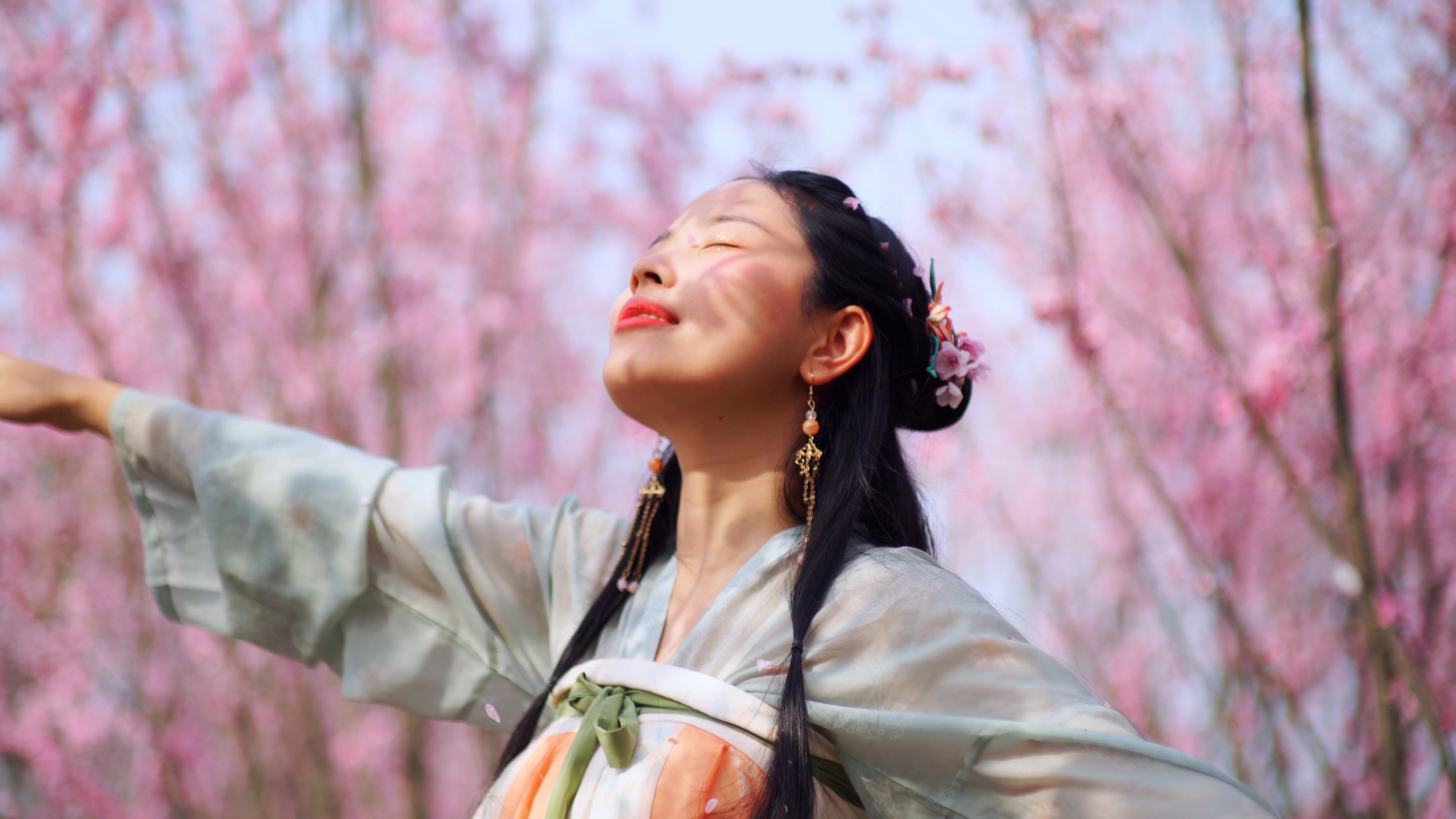 4K实拍樱花树林古风汉服美女意境视频素材视频的预览图