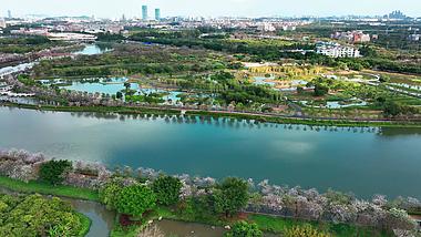 4k航拍广州国家湿地公园2022最新视频的预览图