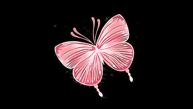 梦幻蝴蝶飞舞昆虫动物红色视频的预览图
