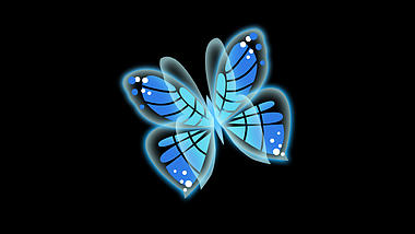 梦幻蝴蝶飞舞昆虫动物蓝色视频的预览图