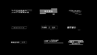 黑白毛刺质感文本标题字幕条动画AE模板视频的预览图