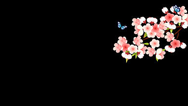春天春季樱花季樱花绽放蝴蝶花朵小清新粉色视频的预览图