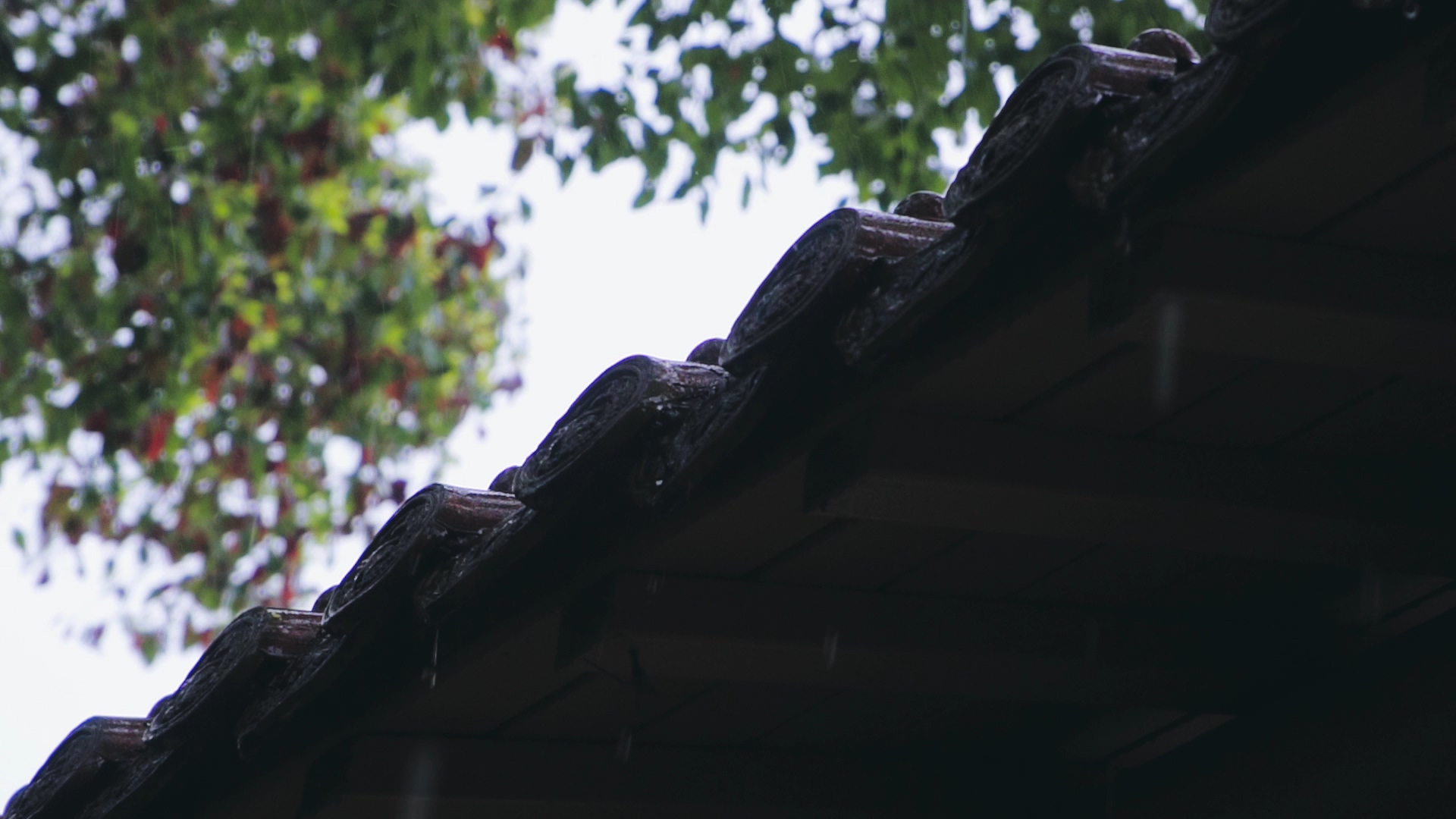 1080P实拍古建筑屋檐雨滴升格慢动作视频的预览图