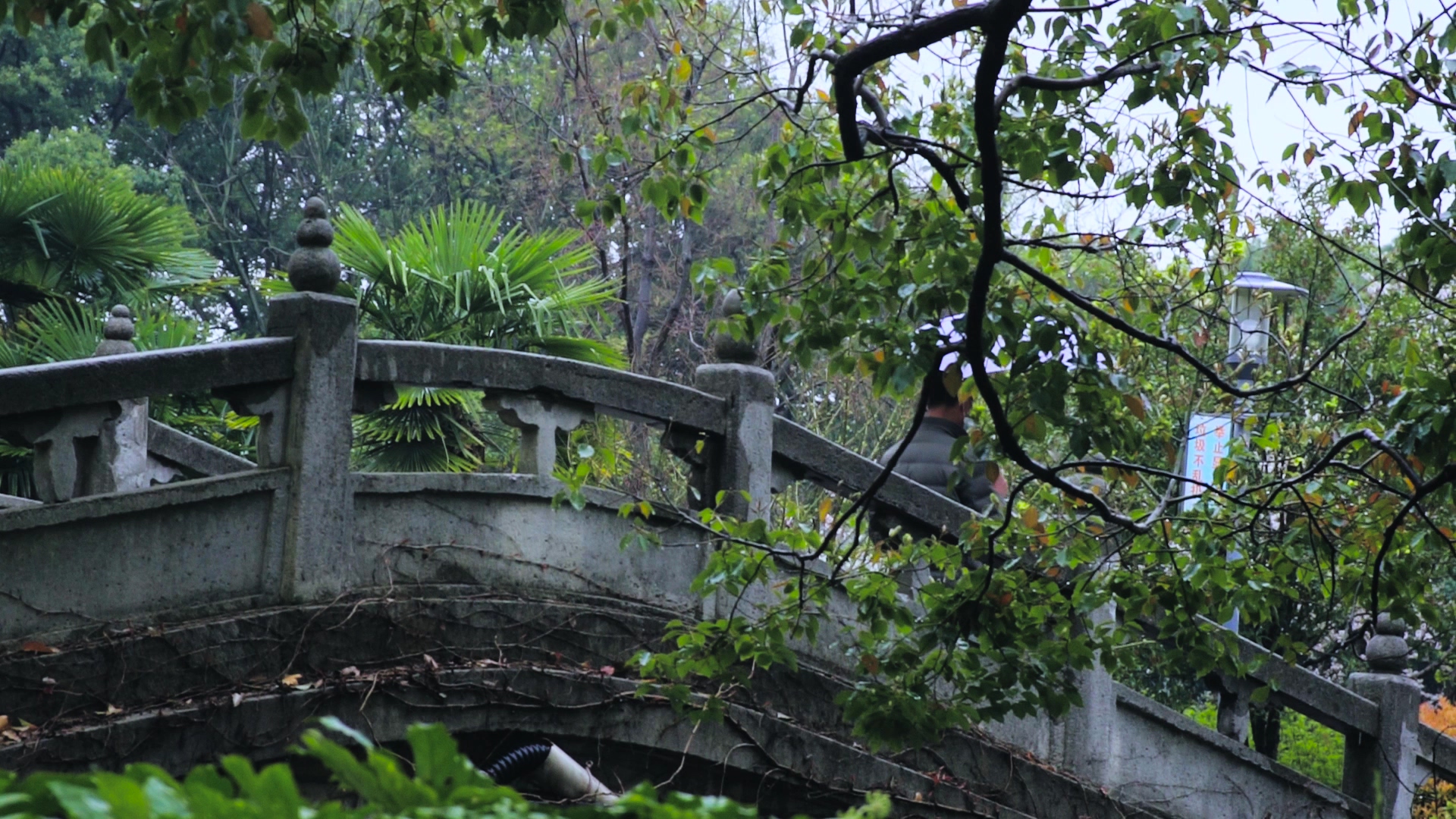 1080P实拍江南风景雨天男子走在石桥上视频的预览图