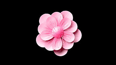 粉色C4D立体春天植物唯美花朵3D素材视频的预览图