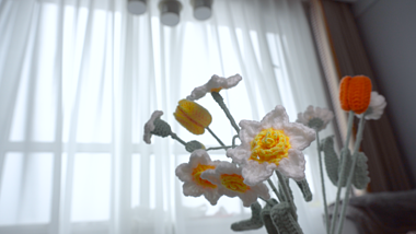 4K实拍特写小黄花唯美意境镜头视频的预览图