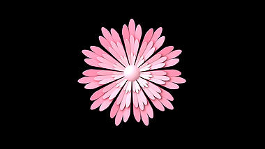 C4D粉色3D唯美植物剪纸花朵立体带通道素材视频的预览图