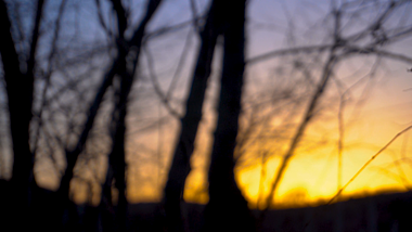 4K夕阳下大山树木唯美剪影意境空镜头视频的预览图