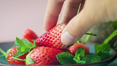 4k实拍手放美味鲜红的草莓动作特写广告素材视频的预览图