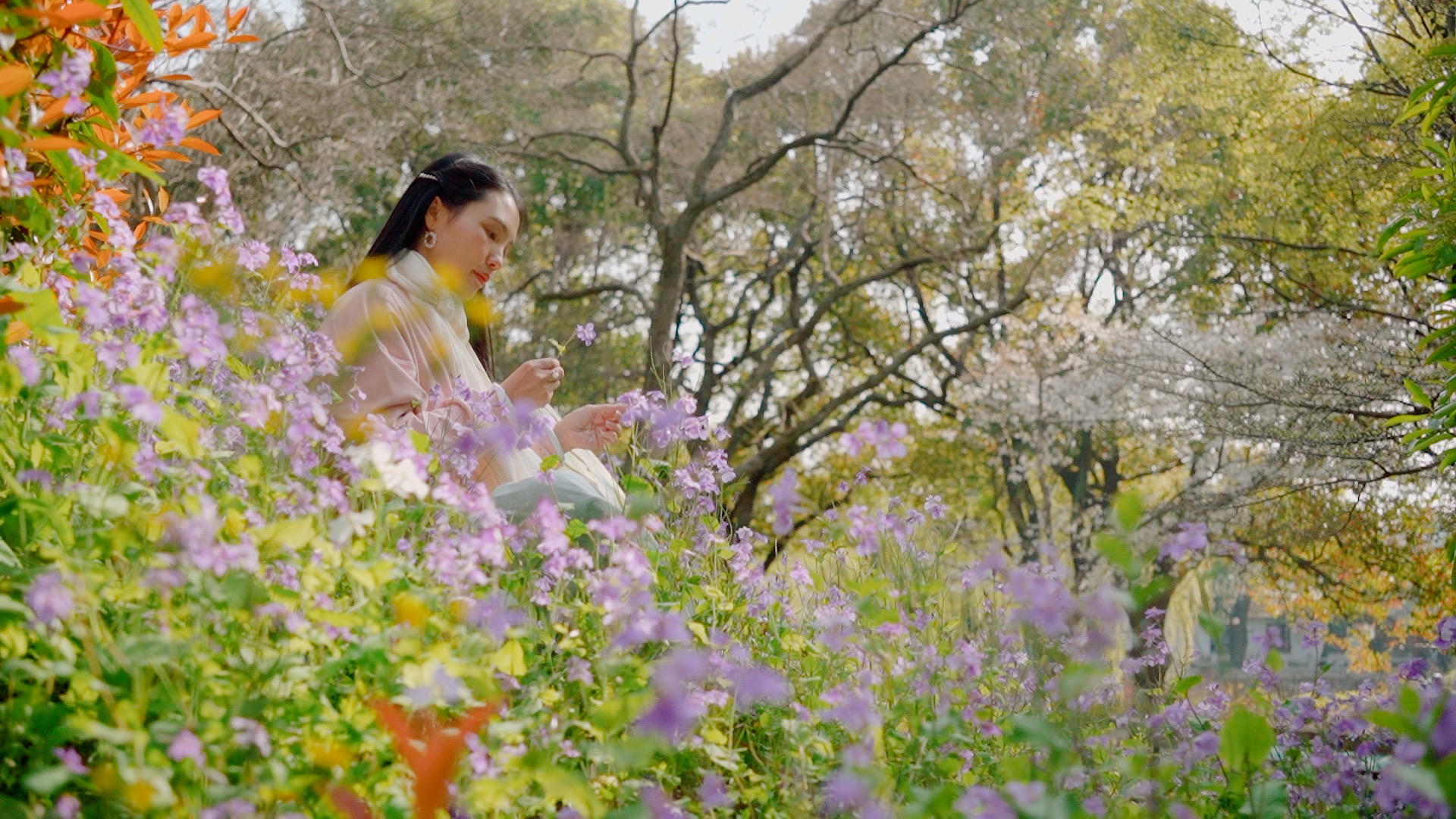 1080在花丛中赏花的美女实拍视频视频的预览图