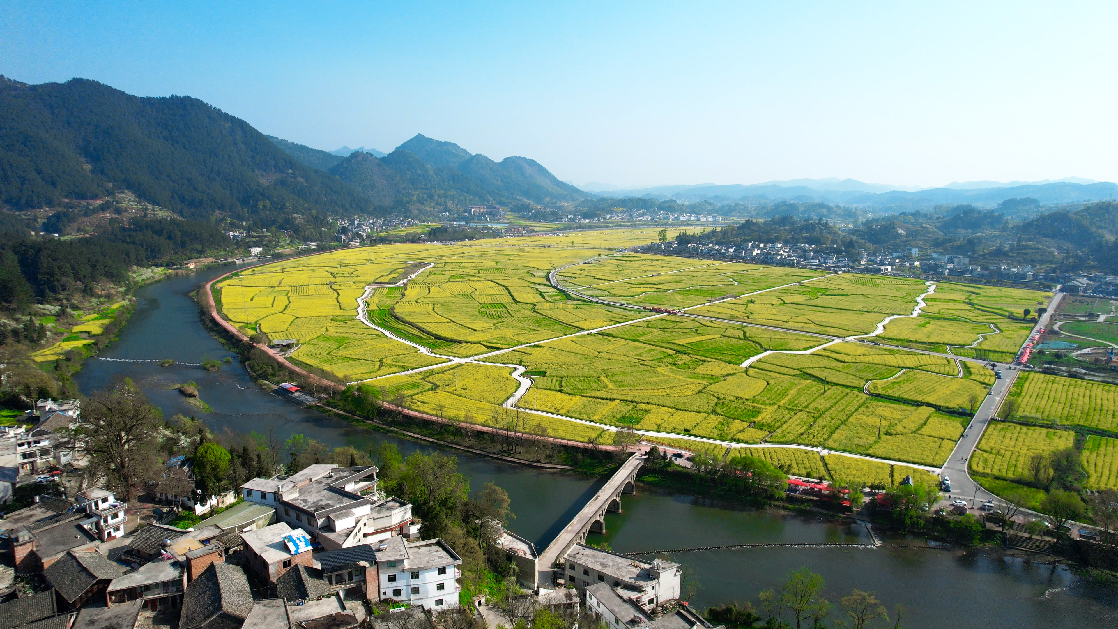 4K震撼航拍俯瞰贵州金海雪山油菜花田野视频的预览图