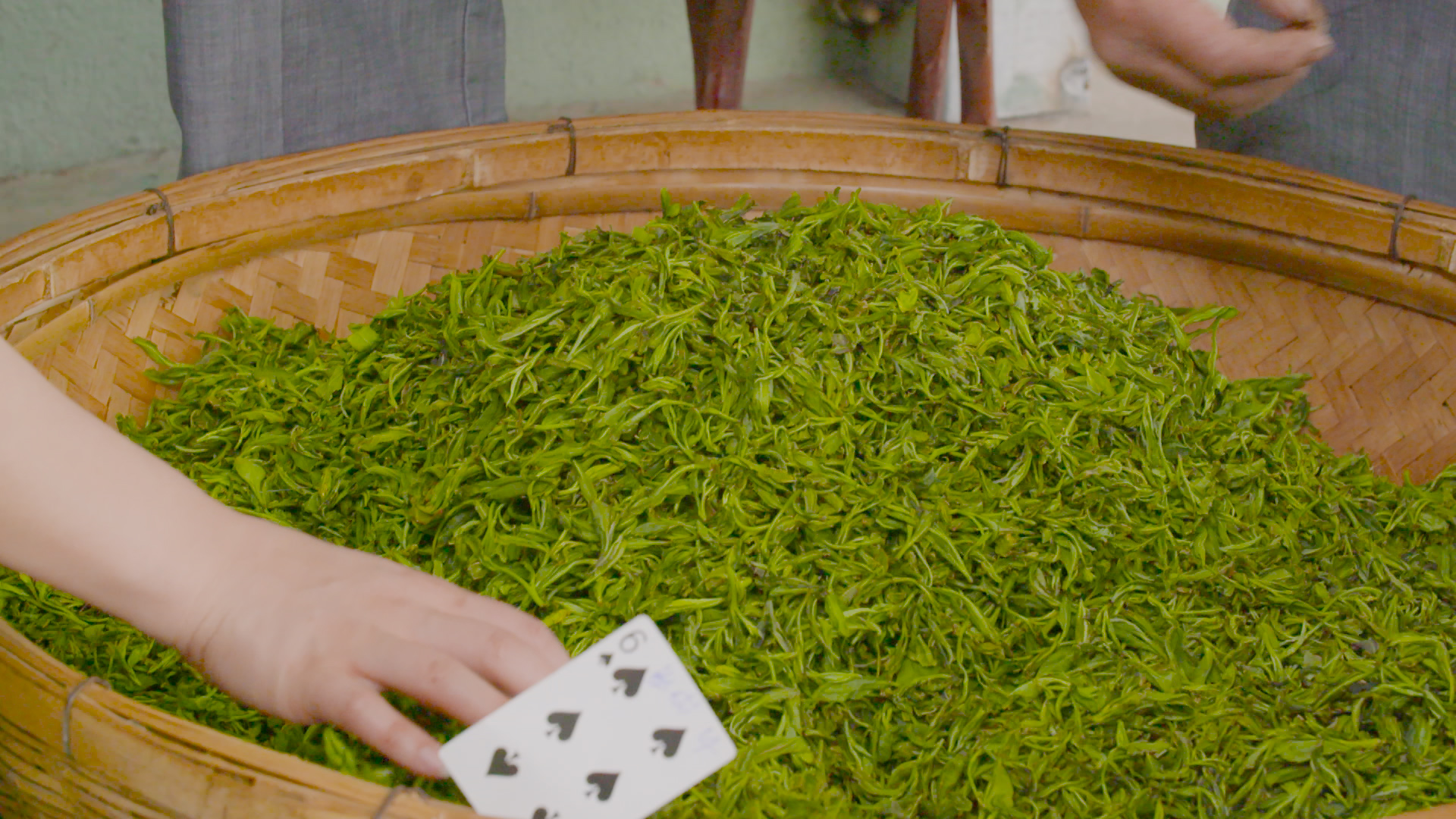 1080P茶农手翻晾采摘的绿茶茶叶实拍视频的预览图