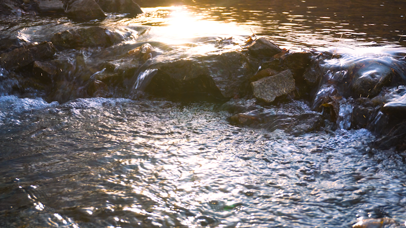 4K清澈唯美山泉流水小溪自然镜头视频的预览图