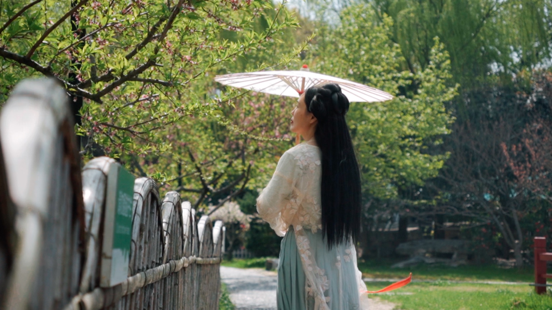 1080古风汉服美女欣赏新柳和桃花实拍视频视频的预览图