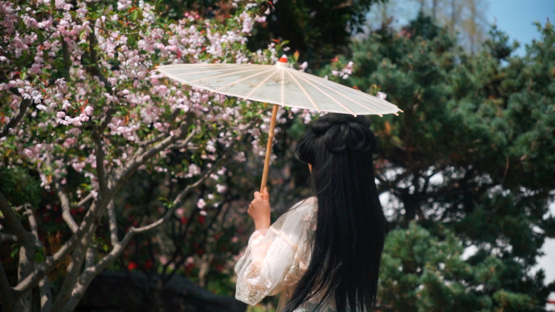 1080唯美古风汉服女子打着伞欣赏海棠花实拍视频视频的预览图
