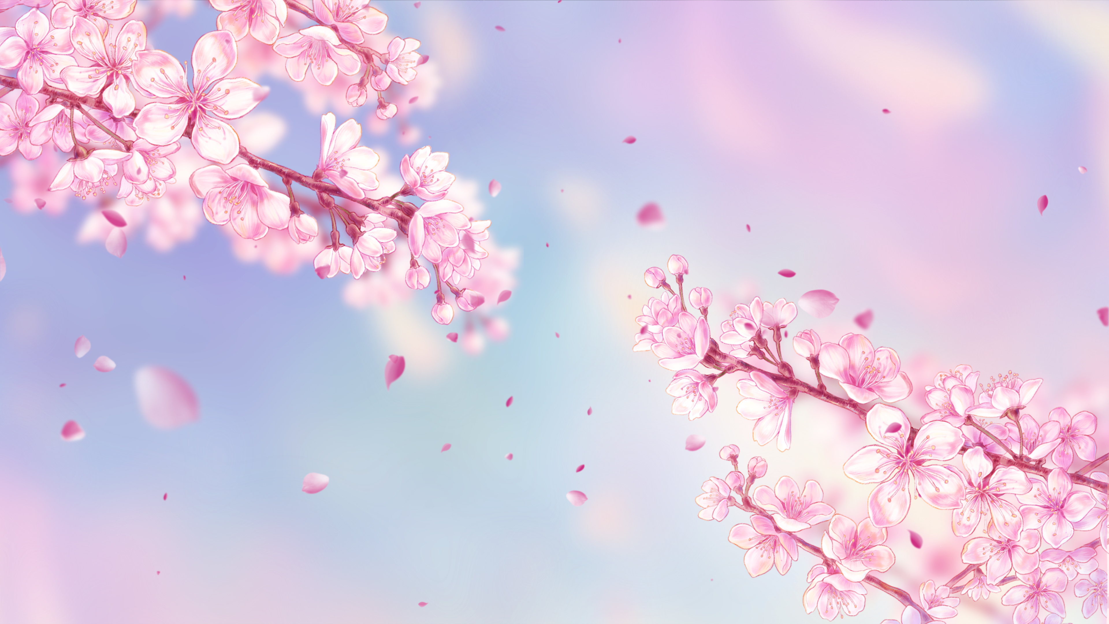 春天樱花花朵花树枝风中摇摆粉色浪漫温馨视频动态背景视频的预览图