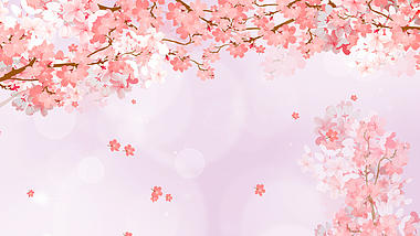 唯美治愈樱花下落浪漫温馨视频动态背景视频的预览图