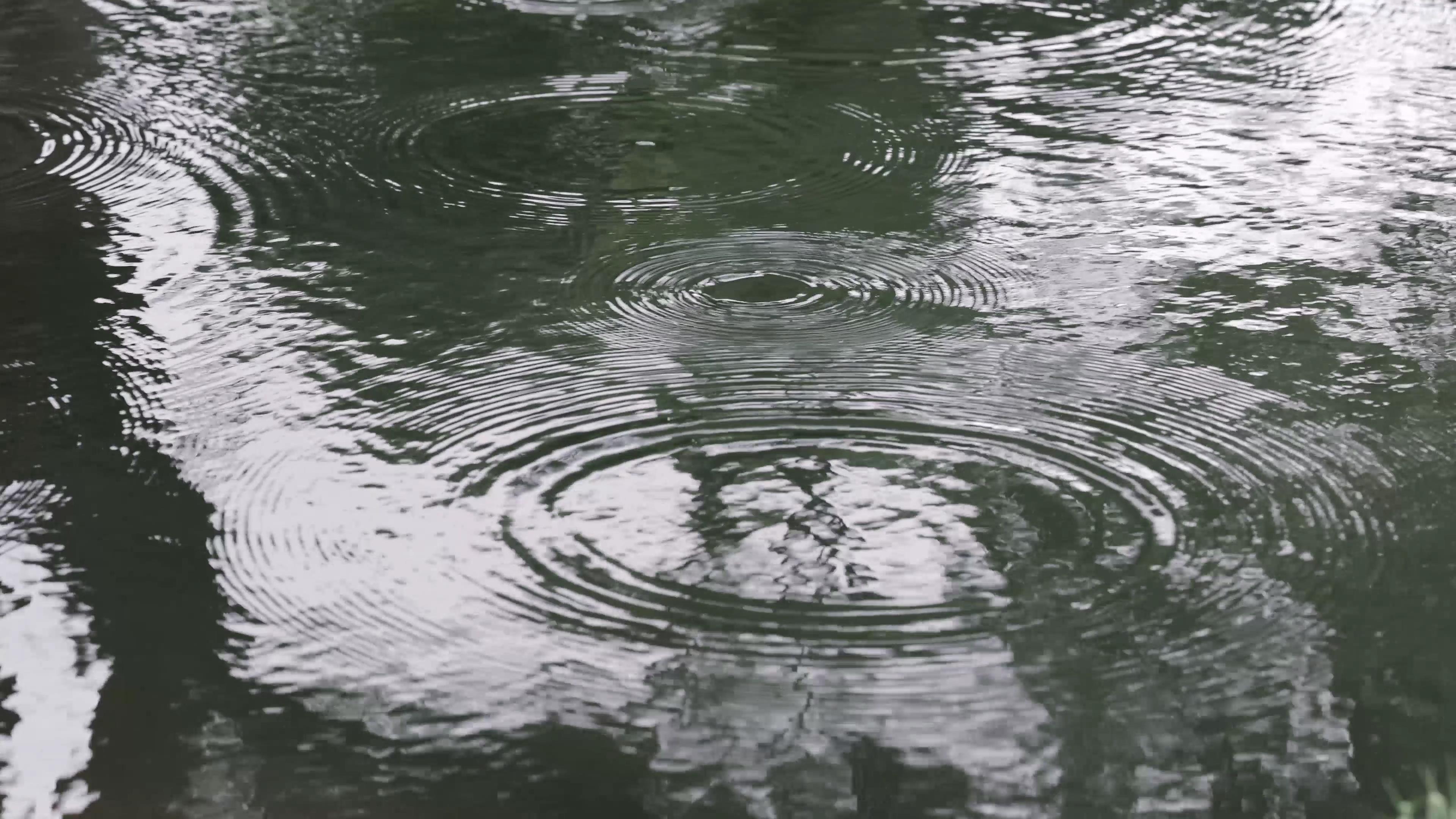 4k实拍雨水水波纹水滴背景视频的预览图