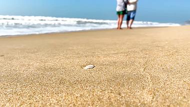 4k实拍海边情侣慢步沙滩浪花视频的预览图