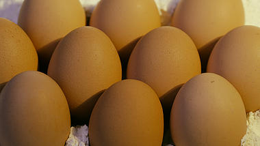 1080鸡蛋面粉广告特写食品宣传片视频的预览图