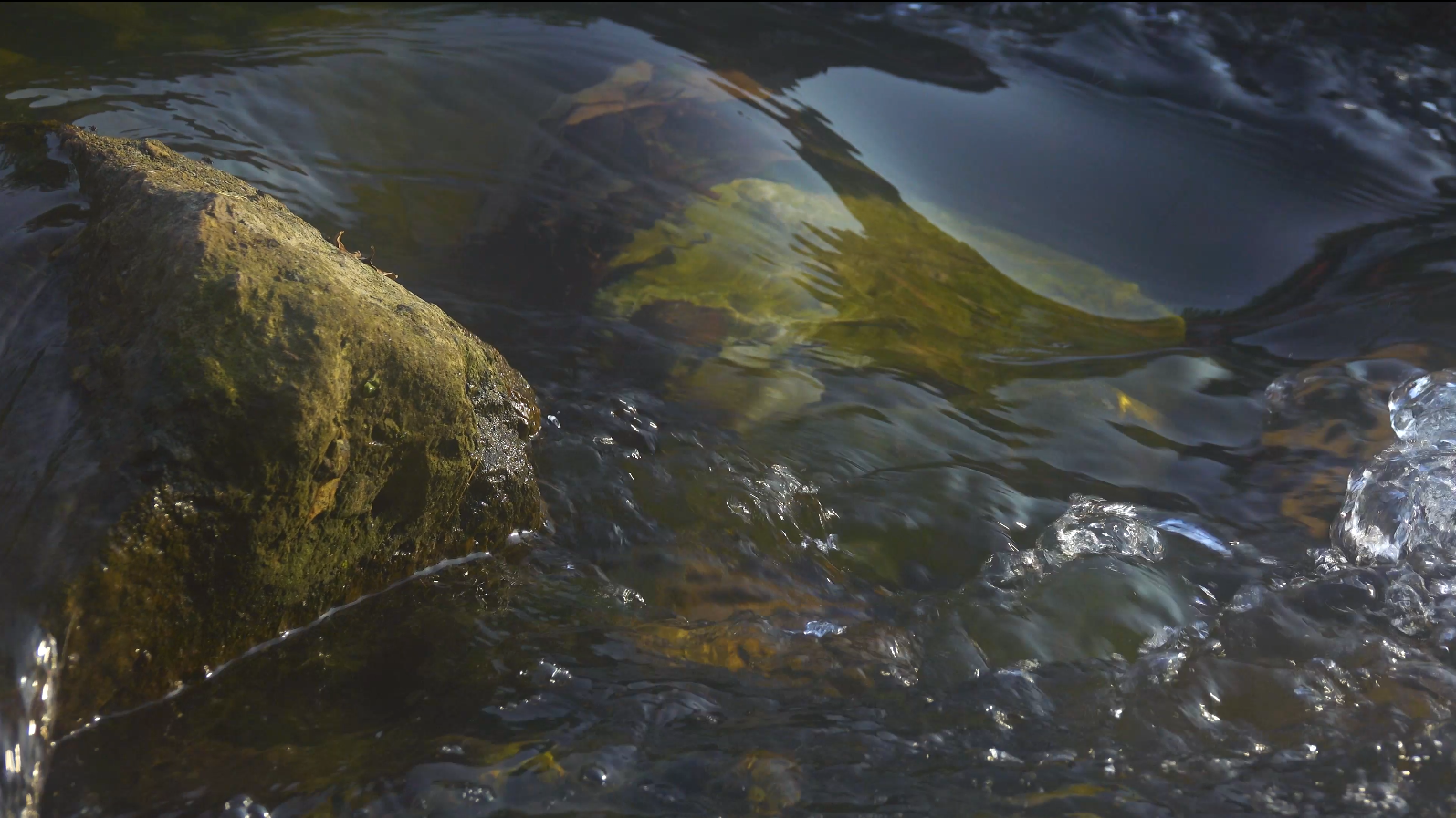 4K实拍清水流水岩石溪水自然风光视频的预览图