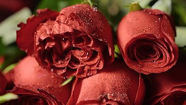 4k情人节浪漫玫瑰花花朵花束摆拍视频的预览图