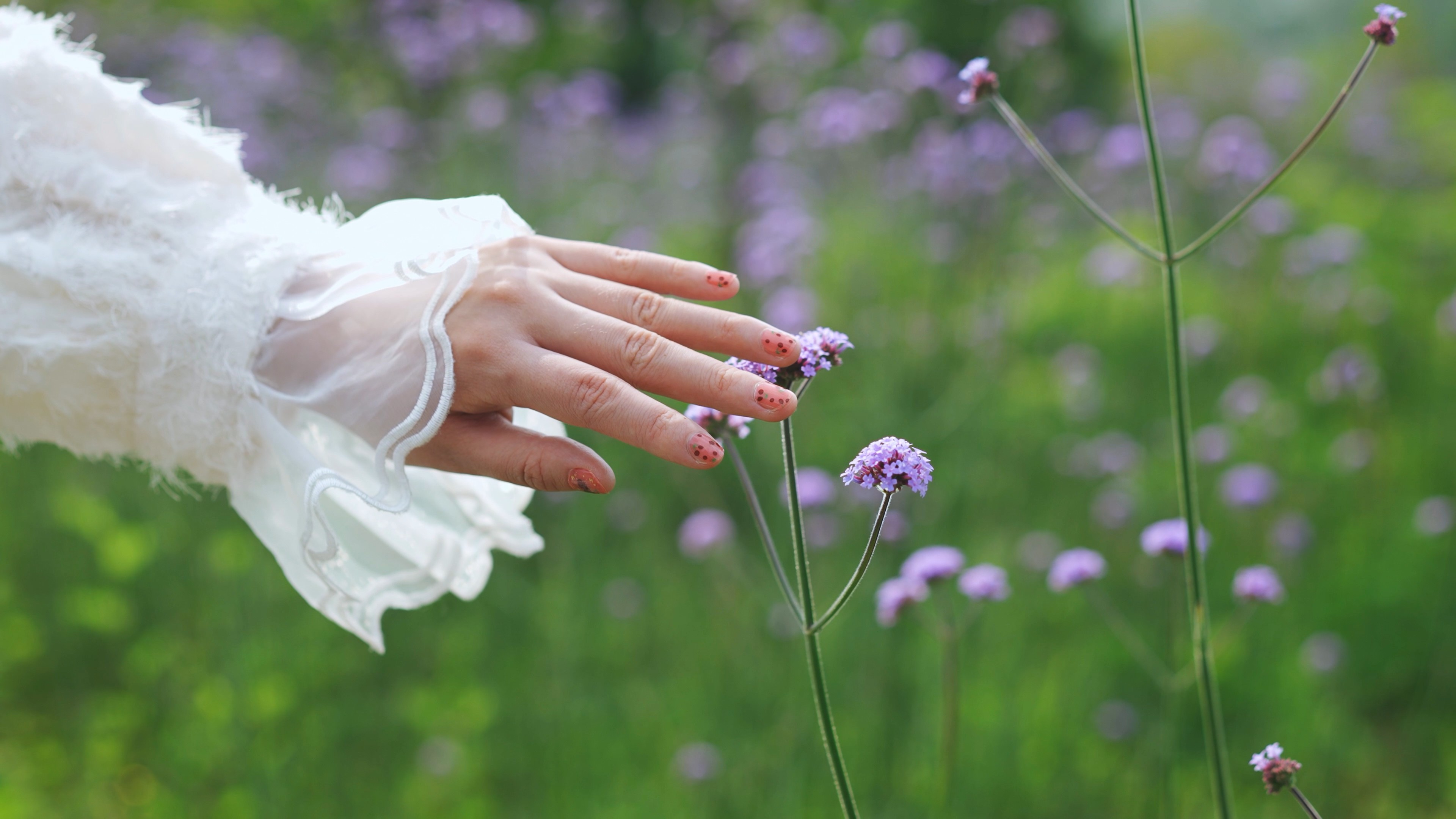 4k美女手抚摸鲜花花朵唯美意境视频的预览图
