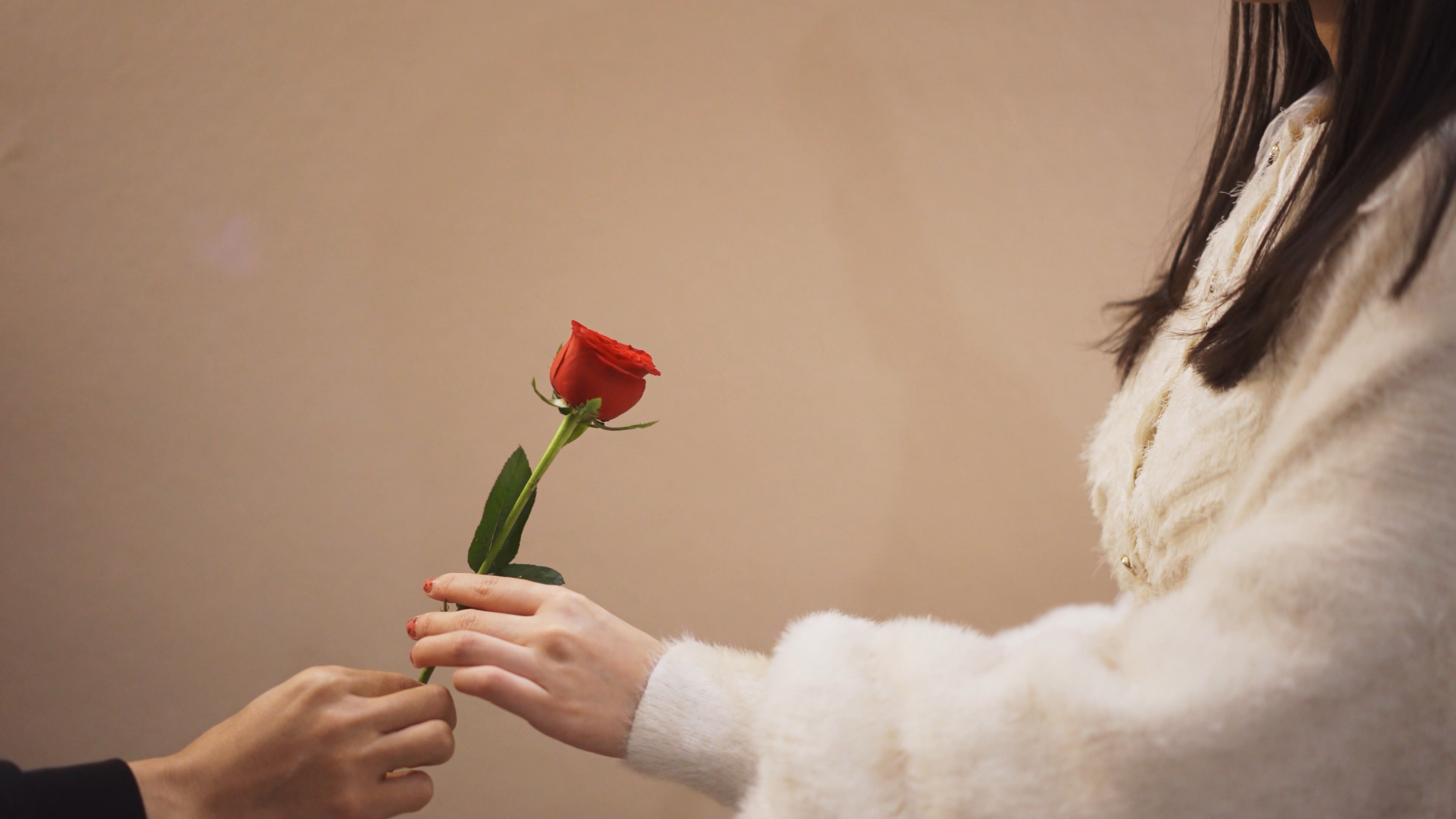 4k实拍男生送玫瑰花给女生浪漫告白视频的预览图