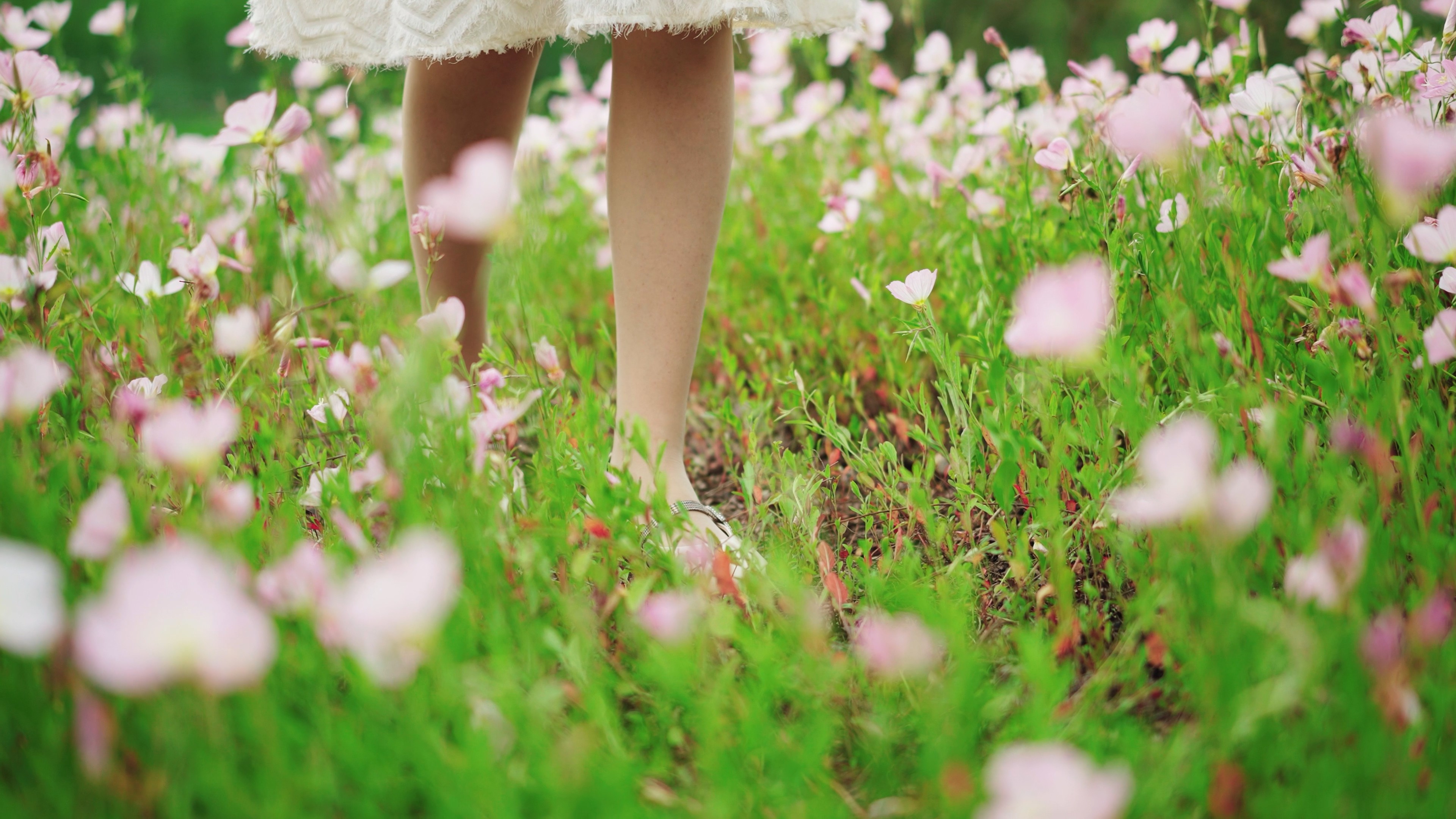 4k美女花丛中散步脚步唯美意境视频的预览图