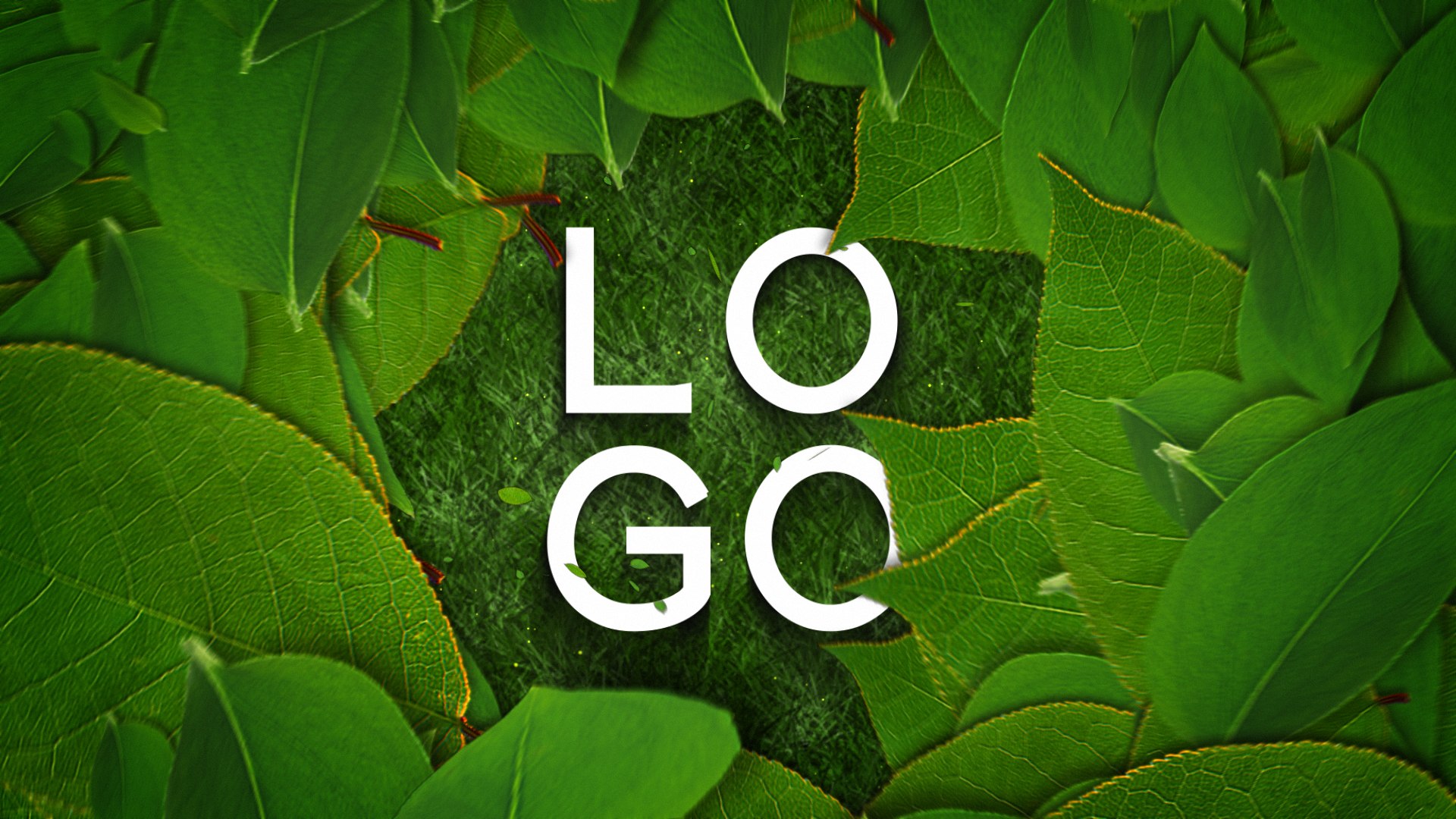 清新自然树叶草地LOGO展示演绎视频的预览图