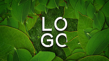 清新自然树叶草地LOGO展示演绎视频的预览图