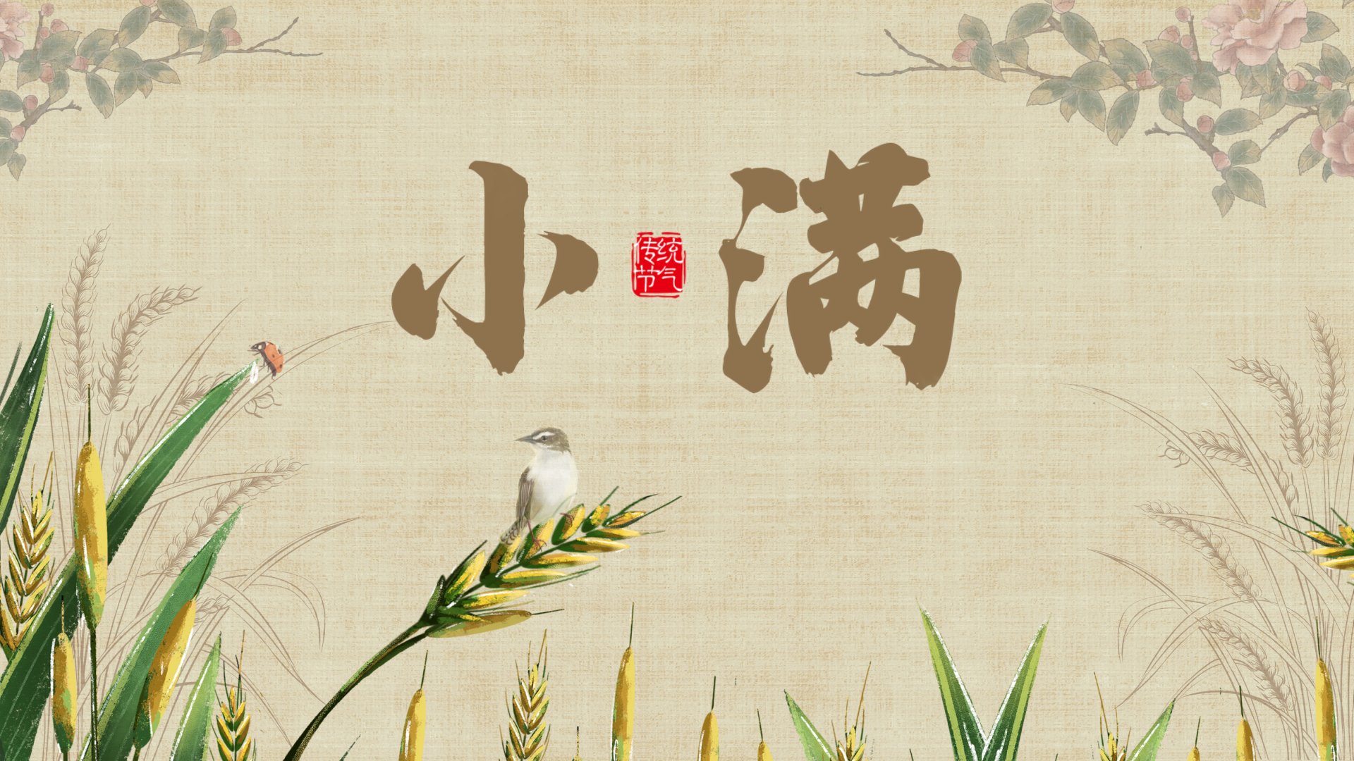 原创小满麦子黄色中国风视频片头视频的预览图