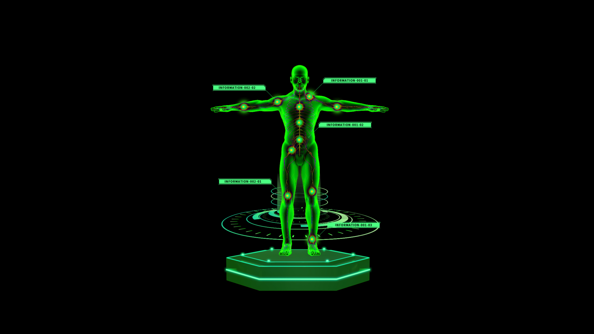医疗科技人体结构信息展示科技感绿色视频的预览图