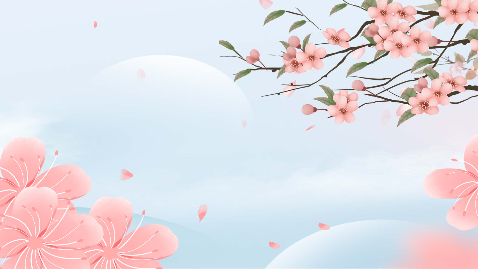 原创春天樱花花瓣清新动态视频背景视频的预览图